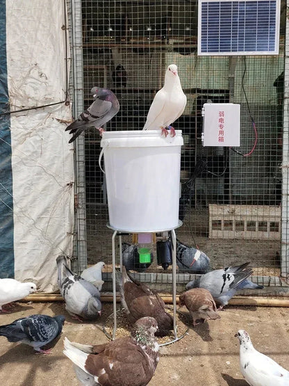 Automatic Poultry Feeder with Smart Timer