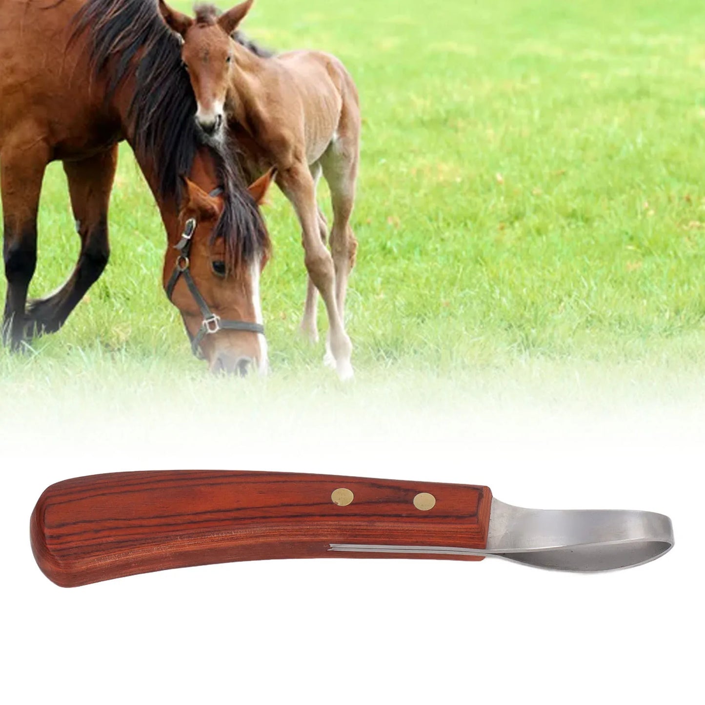 Multipurpose Cattle Horse Hoof Cutter/Trimmer.