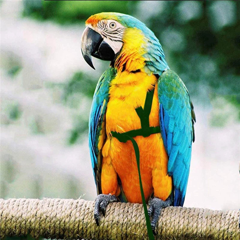 Parakeet & Cockatiel Flying Rope Harness