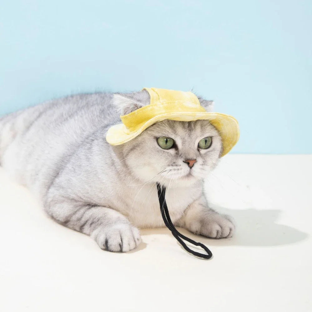 Summer Colorful Baseball Cap for Small Medium Dogs