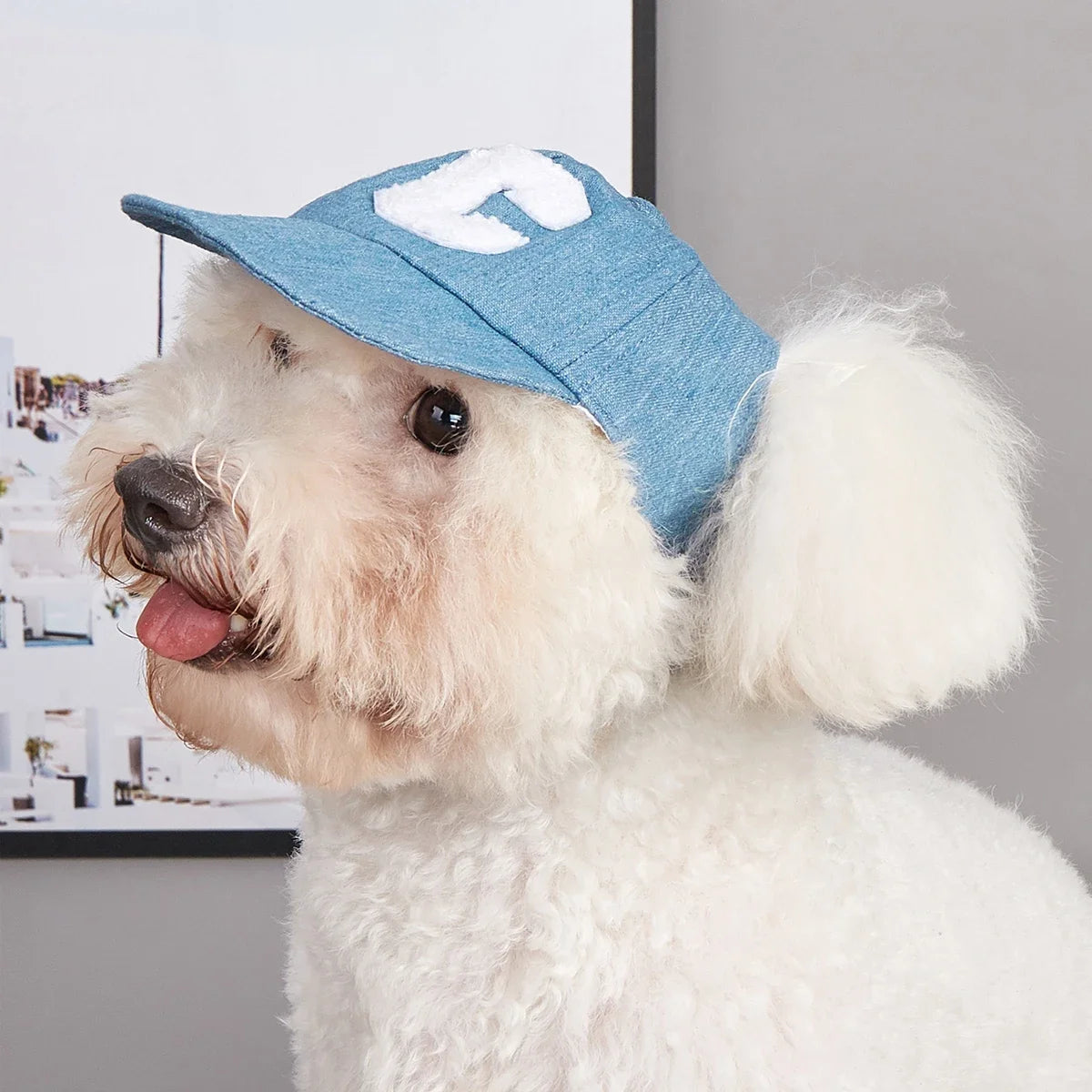 All‑Season Breathable UV Baseball Cap