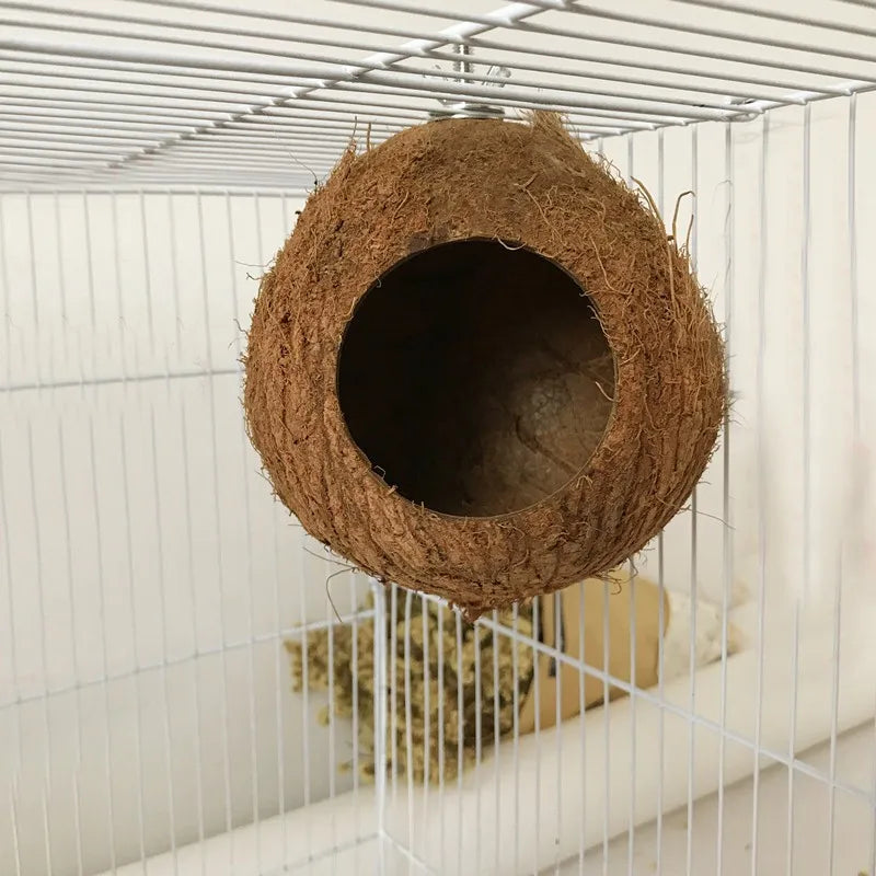 Natural Hanging Coconut Shell Hanging Toy for Budgies, Parakeet & Cockatiels.