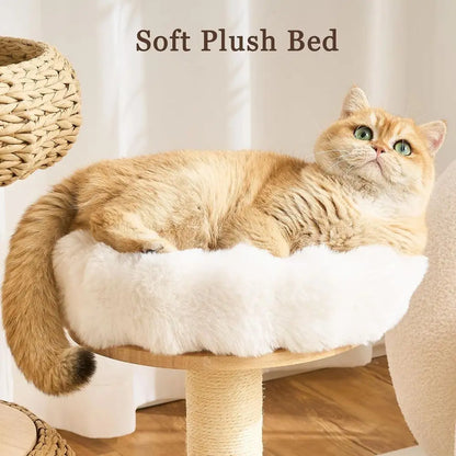 The Cat Castle Deluxe – Rattan Cave & Groom‑Me Station