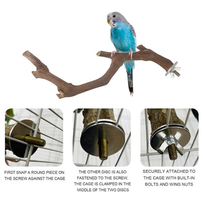 Small Parrot Wooden Perch