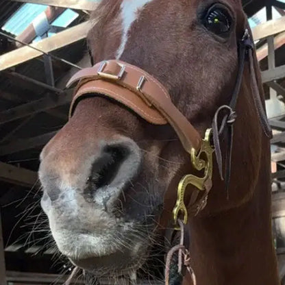Brown Western Hackamore with Curb Chain
