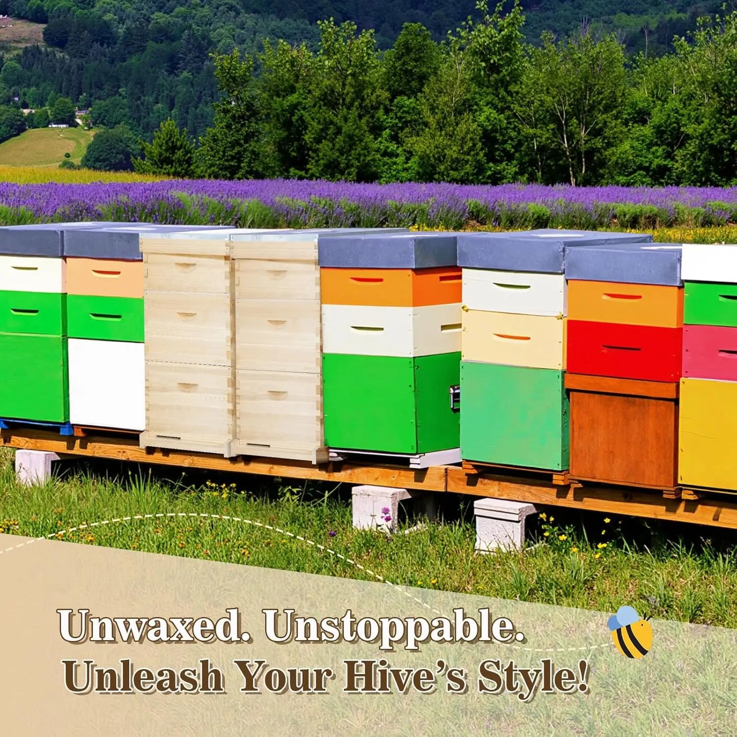 10‑Frame Complete Beehive Starter Kit – Beginner Hive with Waxed Frames & Supplies