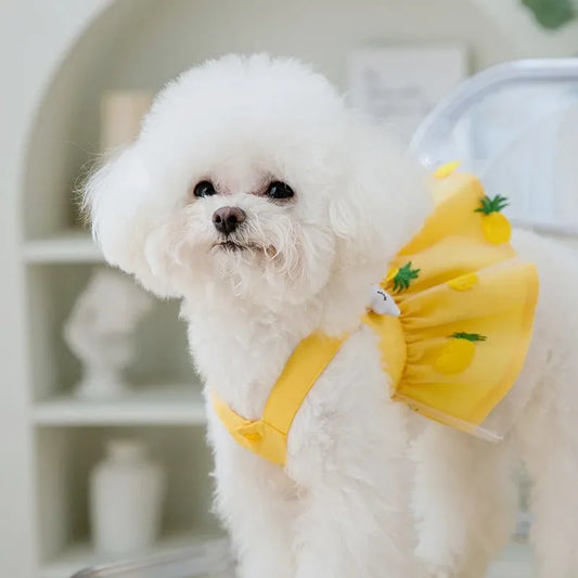 Sweetheart Pup Skirt