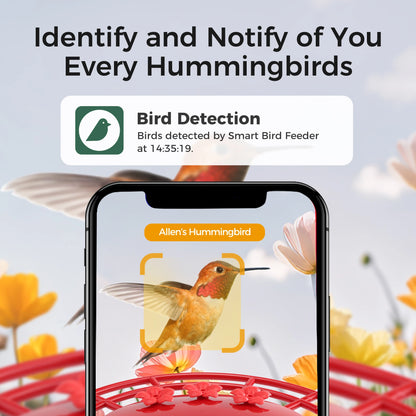 Outdoor Hummingbird Feeder with Solar Powered Camera