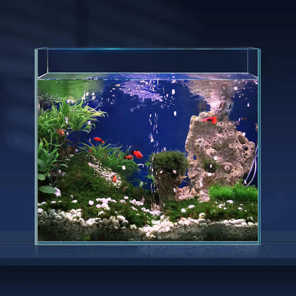 Rimless Glass Aquarium with Cover, Feeding Ring & Cleaning Tools
