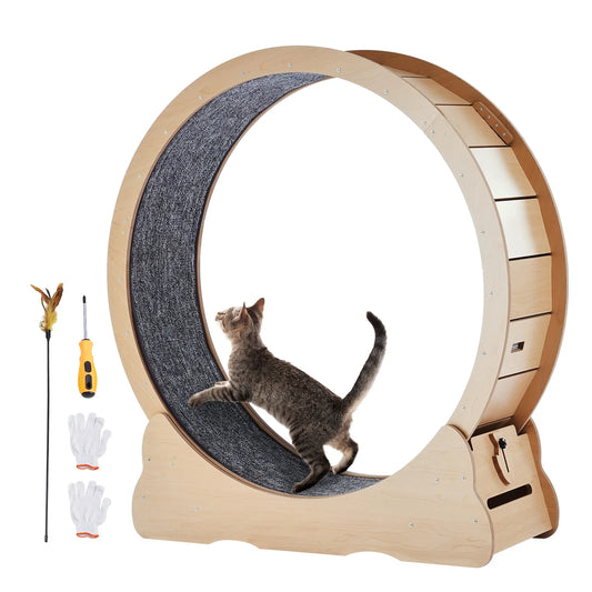 Spin ’n’ Zoom Wooden Cat Wheel | Indoor Kitty Treadmill Fun!