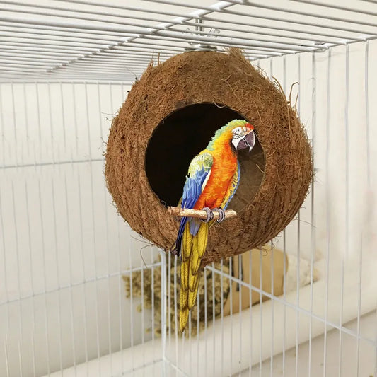 Natural Hanging Coconut Shell Hanging Toy for Budgies, Parakeet & Cockatiels.
