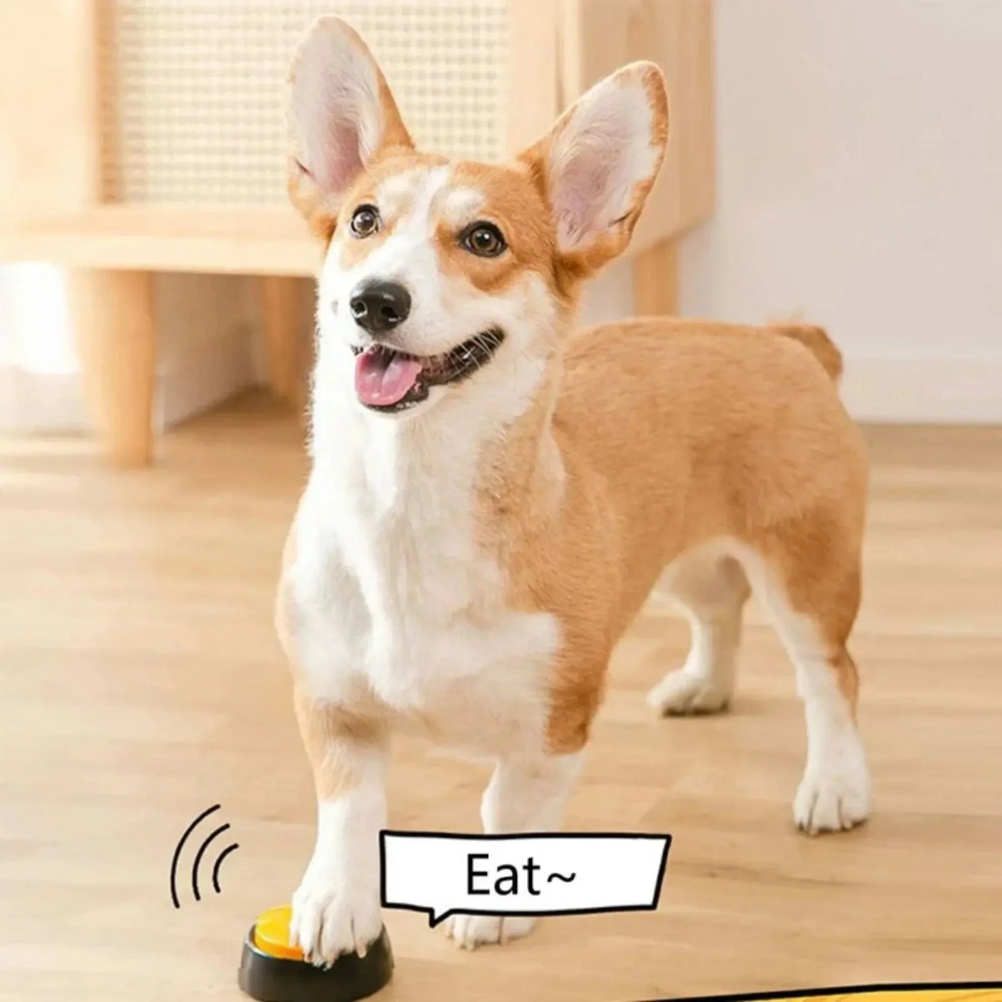 Pet Chat Buttons – Recordable Training Buzzers