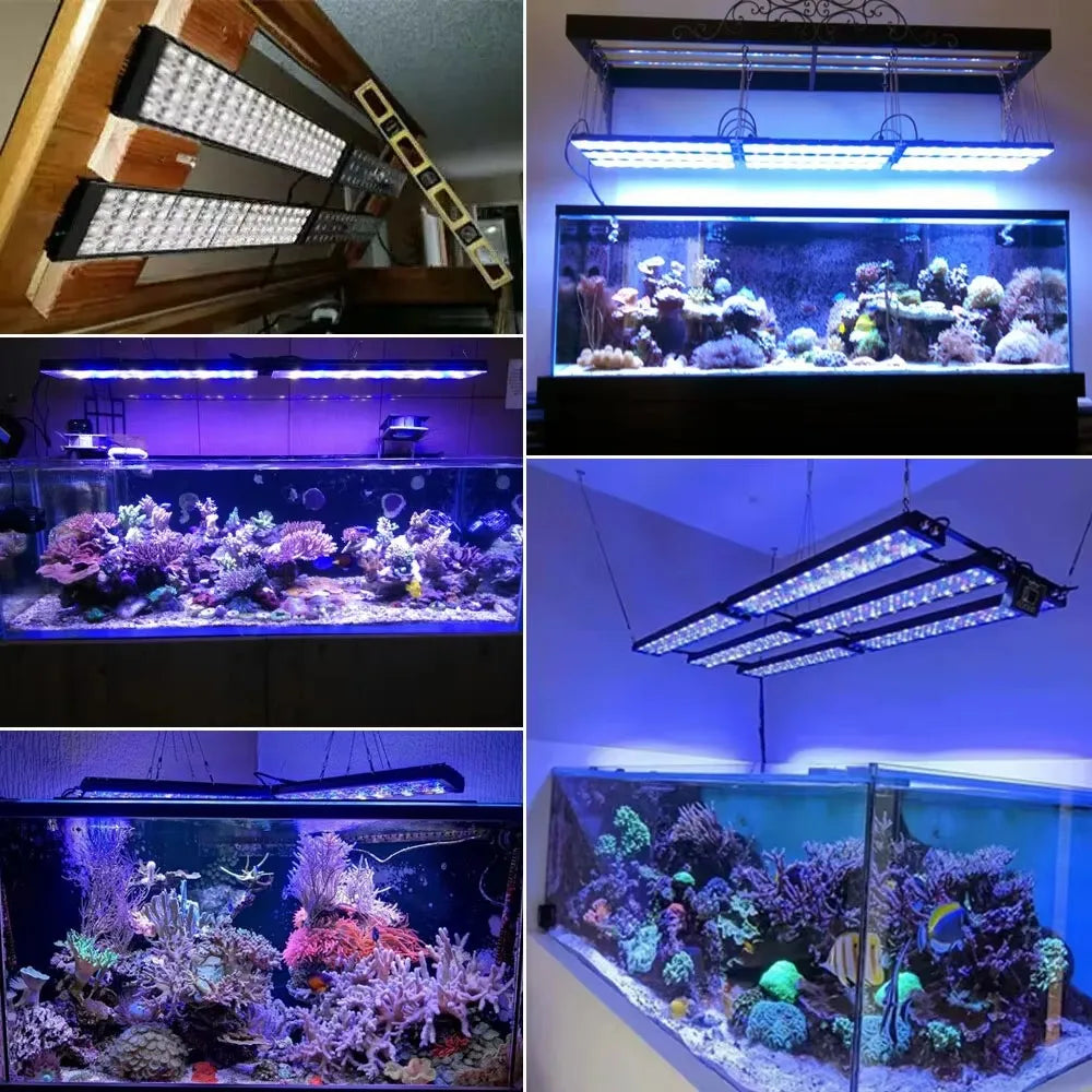 LED Fish Tank Light, Full Spectrum for Reef Corals