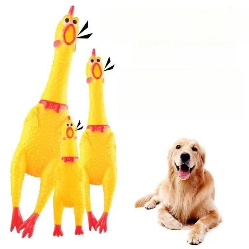 Chicken Pet Toy for Small, Large Pet