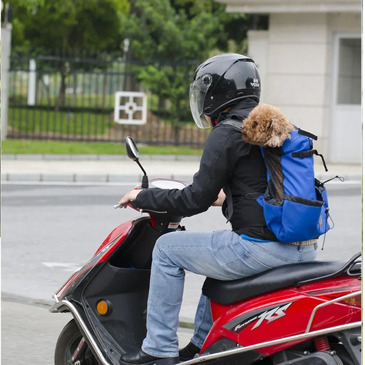 Pet Dog Backpack. Bicycle, Motorcycle, Outdoor Sport Mesh Bag