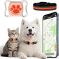 GPS Pet Tracker – Free Collar, No Subscription