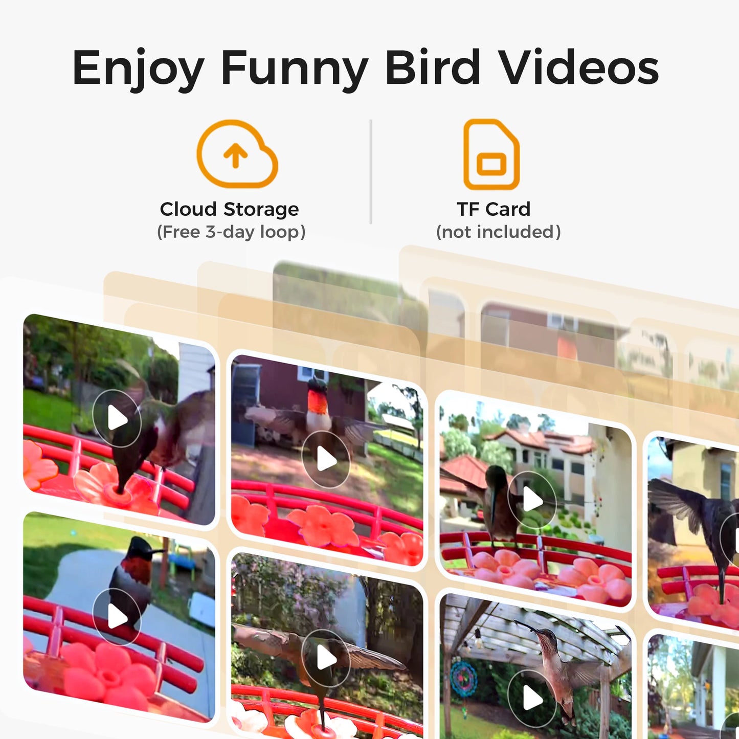 Outdoor Hummingbird Feeder with Solar Powered Camera