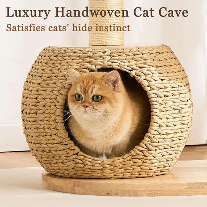 The Cat Castle Deluxe – Rattan Cave & Groom‑Me Station