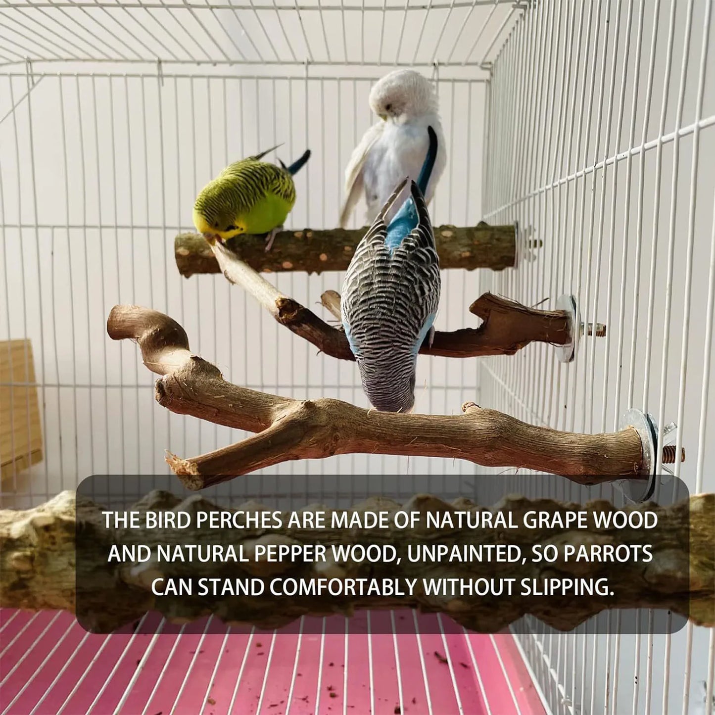 Small Parrot Wooden Perch