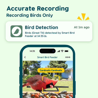 Bird Feeder Camera with Species ID
