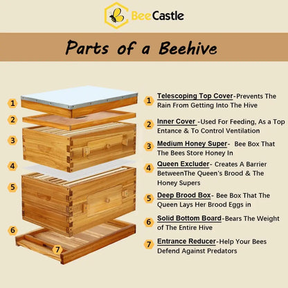 8 Frame Langstroth Beehive, Beeswaxed Coated Starter Kit with Beehive Frames and Waxed Foundations (1 Deep Box & 1, Customized