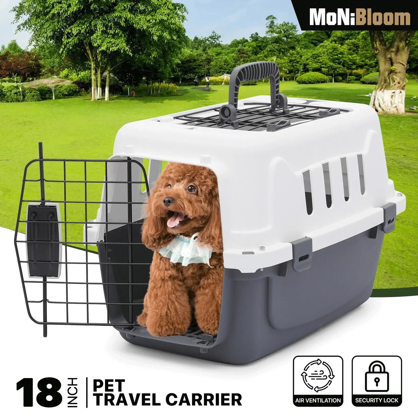 Airline Travel Pet Carrier with Lock