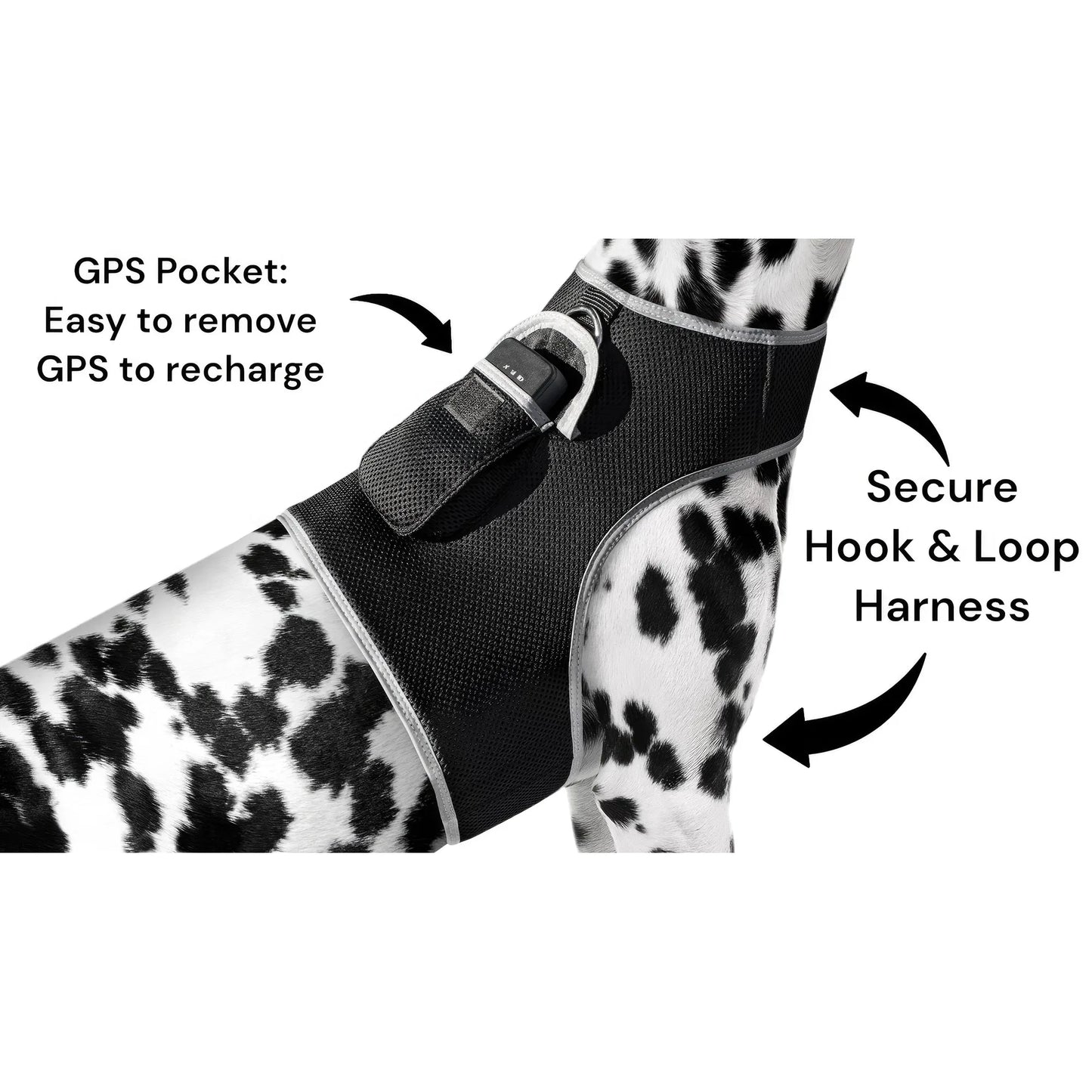 Smart Pet Tracker – GPS, Motion Detection, Real‑Time Android App