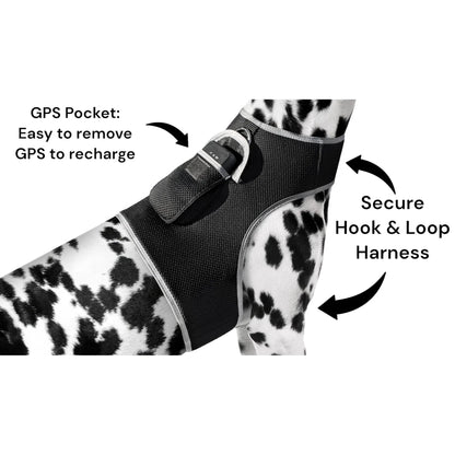 Smart Pet Tracker – GPS, Motion Detection, Real‑Time Android App