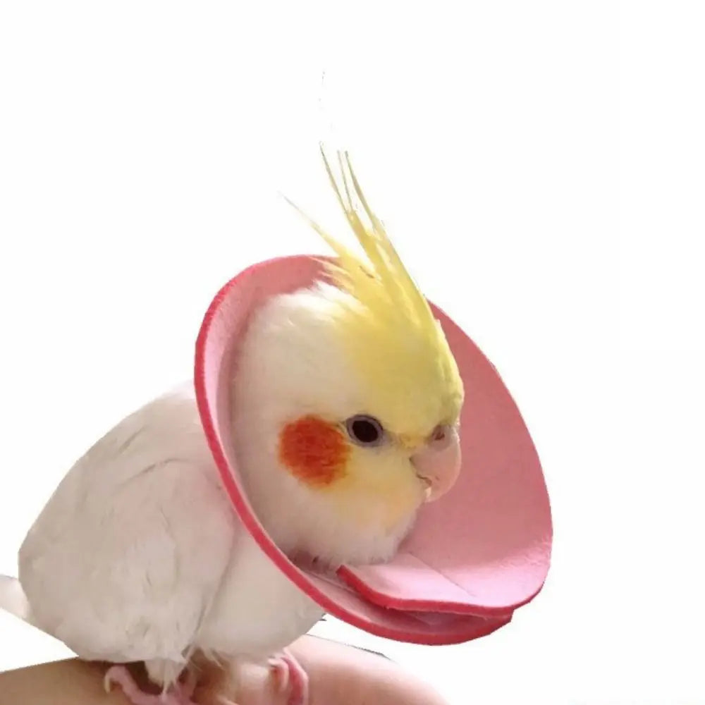 Adjustable Bird Accessories Anti-bite Anti-peckin Bird Cloak Parrot Elizabethan Circle Bird Neck Sleeve Bird Recovery Collar