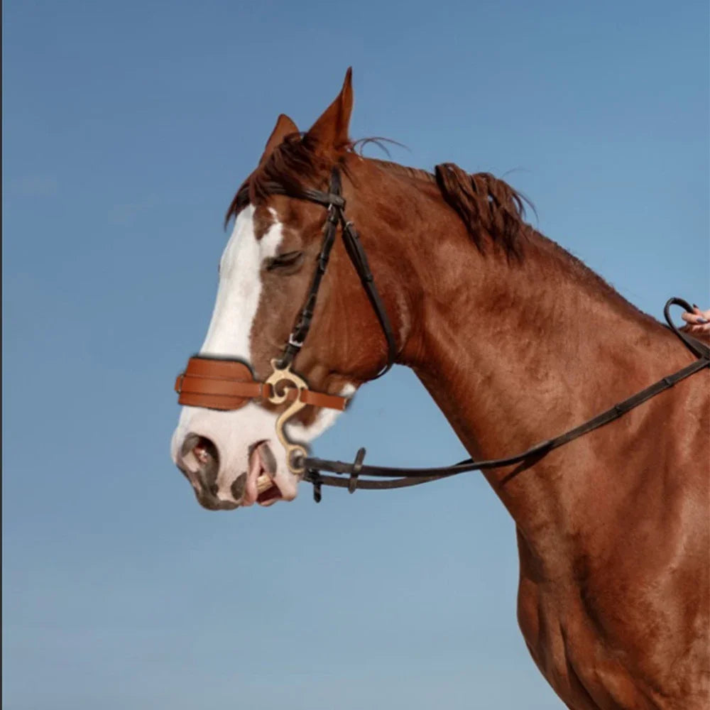 Comfortable Horses Bridle