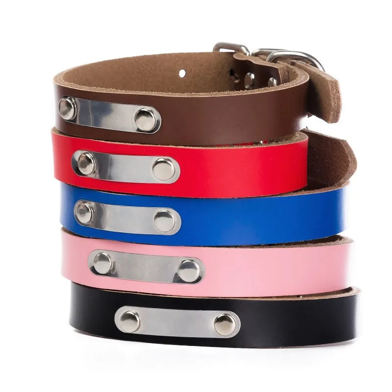 Wholesale leather collar with engravable tag.