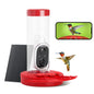Outdoor Hummingbird Feeder with Solar Powered Camera