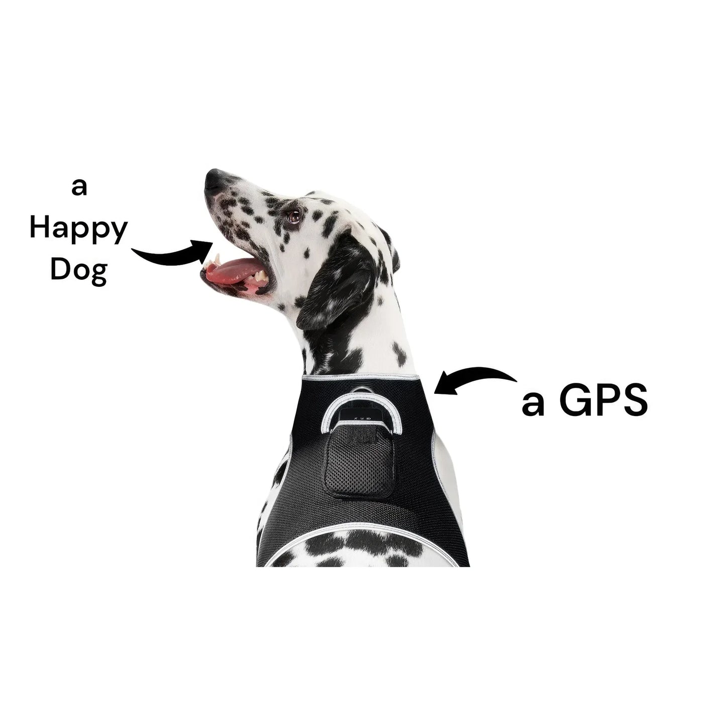 Smart Pet Tracker – GPS, Motion Detection, Real‑Time Android App