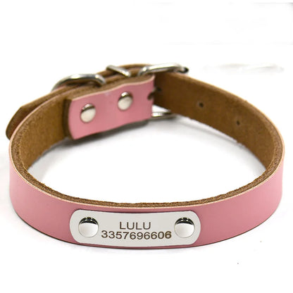 Wholesale leather collar with engravable tag.