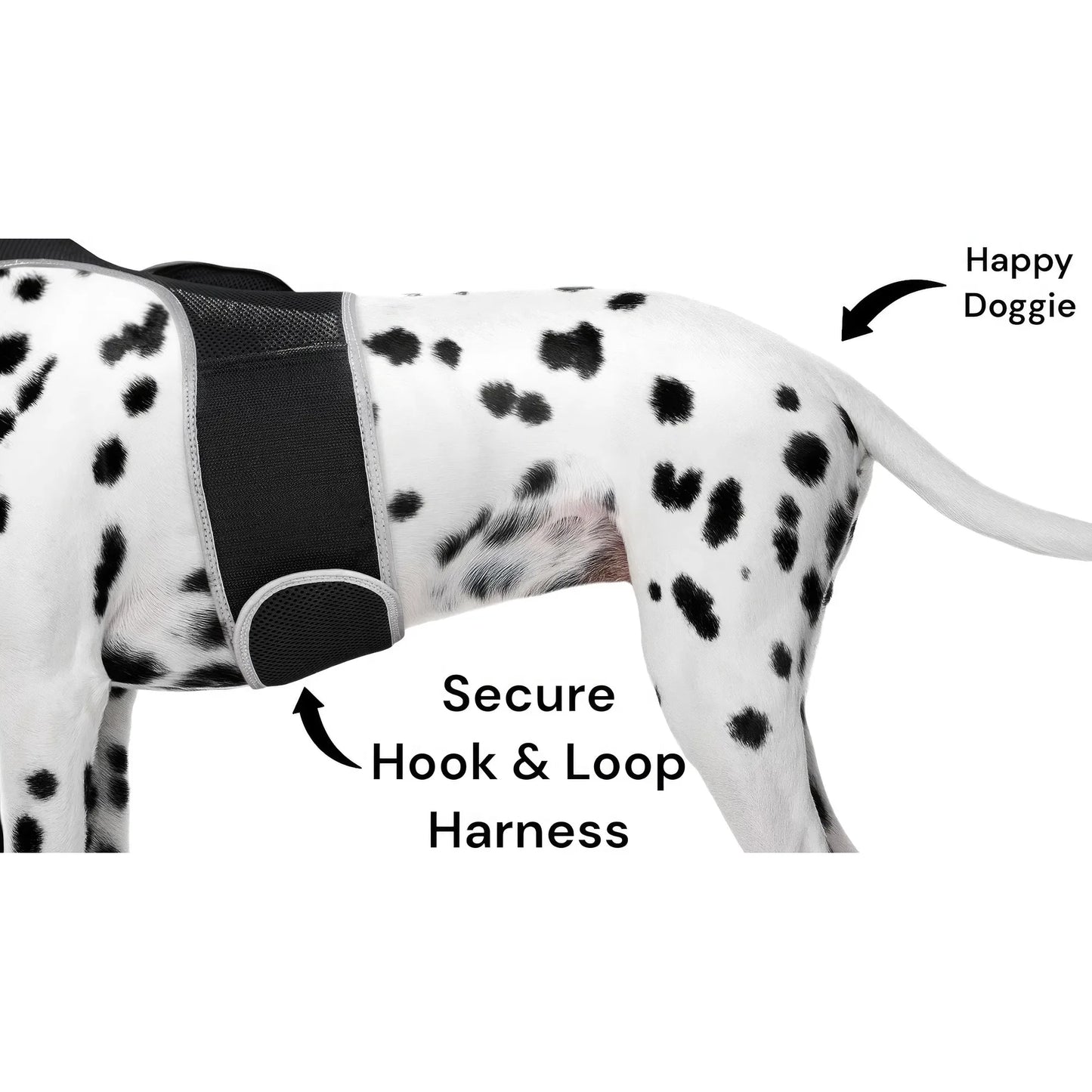 Smart Pet Tracker – GPS, Motion Detection, Real‑Time Android App