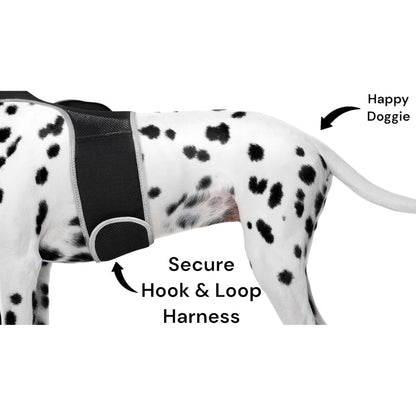 Smart Pet Tracker – GPS, Motion Detection, Real‑Time Android App