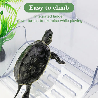 Transparent Floating Platform for Aquatic Turtles