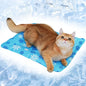 Summer Splash Cooling Pad for Dogs & Cats