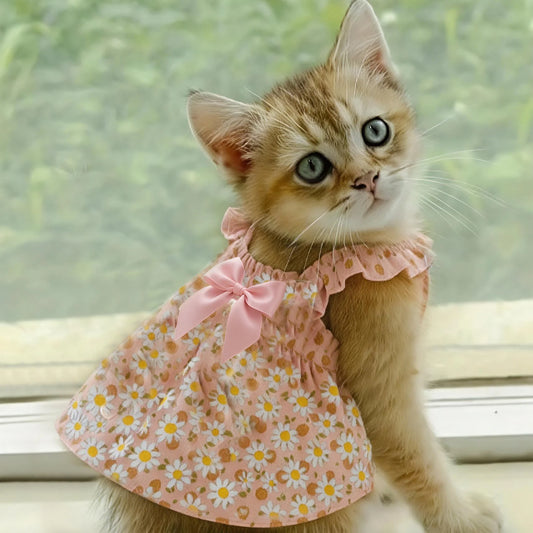 Romantic Rose Pet Dress