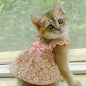 Romantic Rose Pet Dress