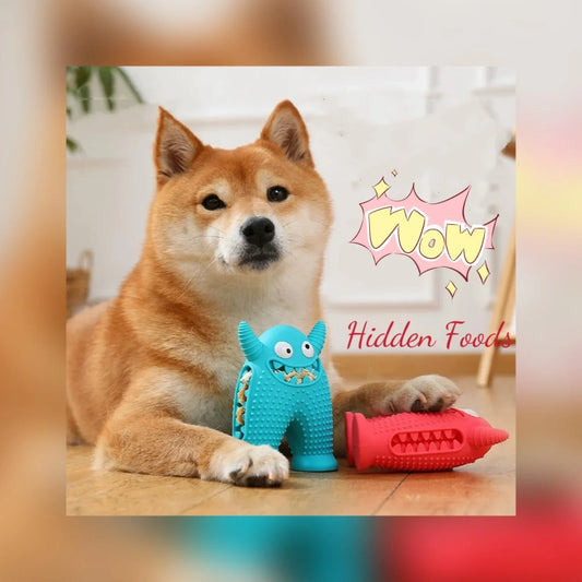 Squeaky Dog Chew Toy for Aggressive Chewers