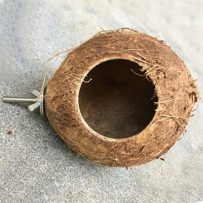 Natural Hanging Coconut Shell Hanging Toy for Budgies, Parakeet & Cockatiels.