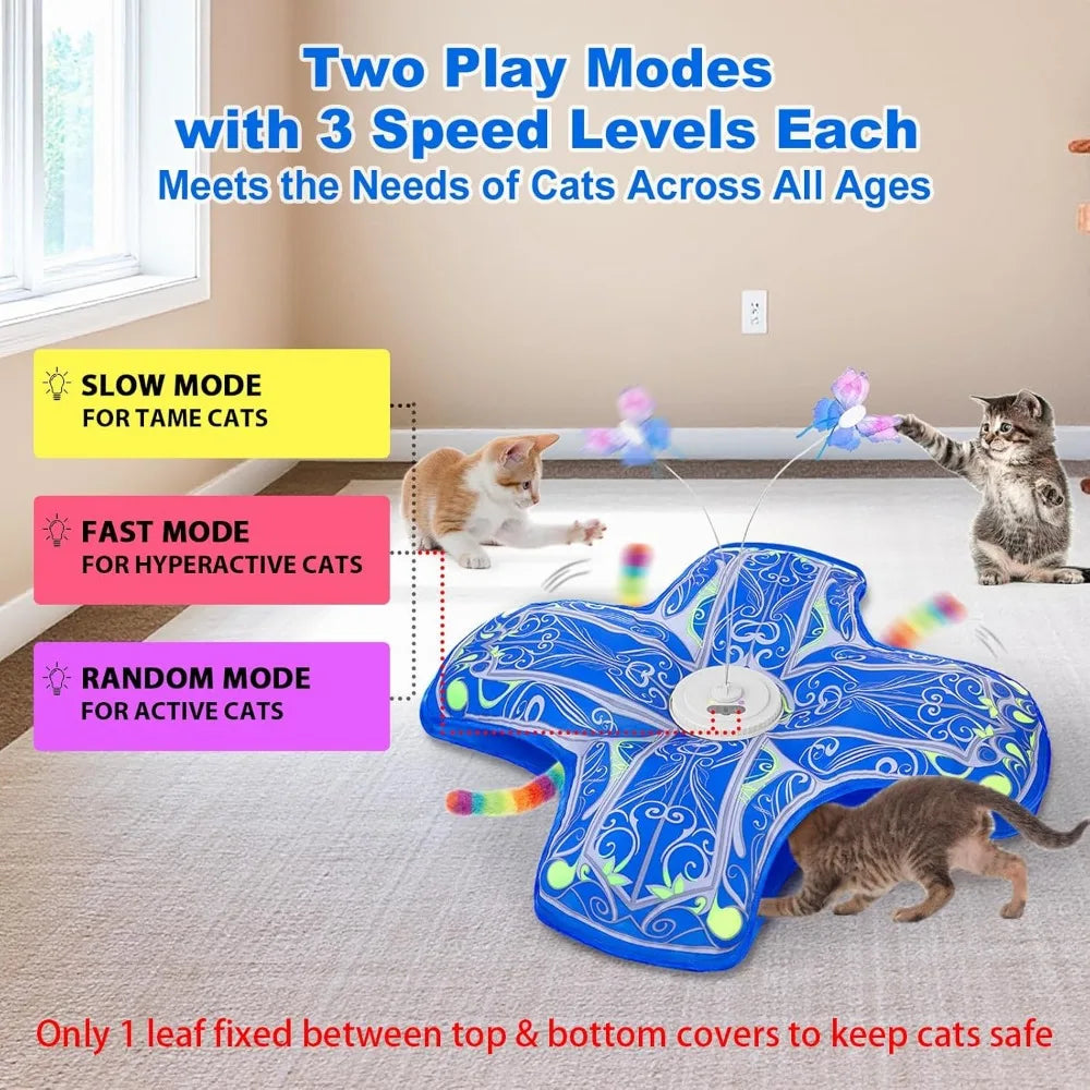 Interactive Hide and Seek Cat Toy for Indoor Cats