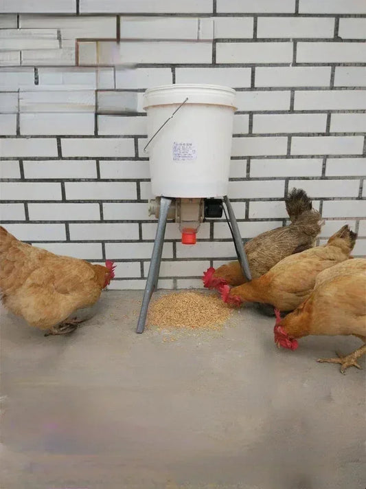 Automatic Poultry Feeder with Smart Timer
