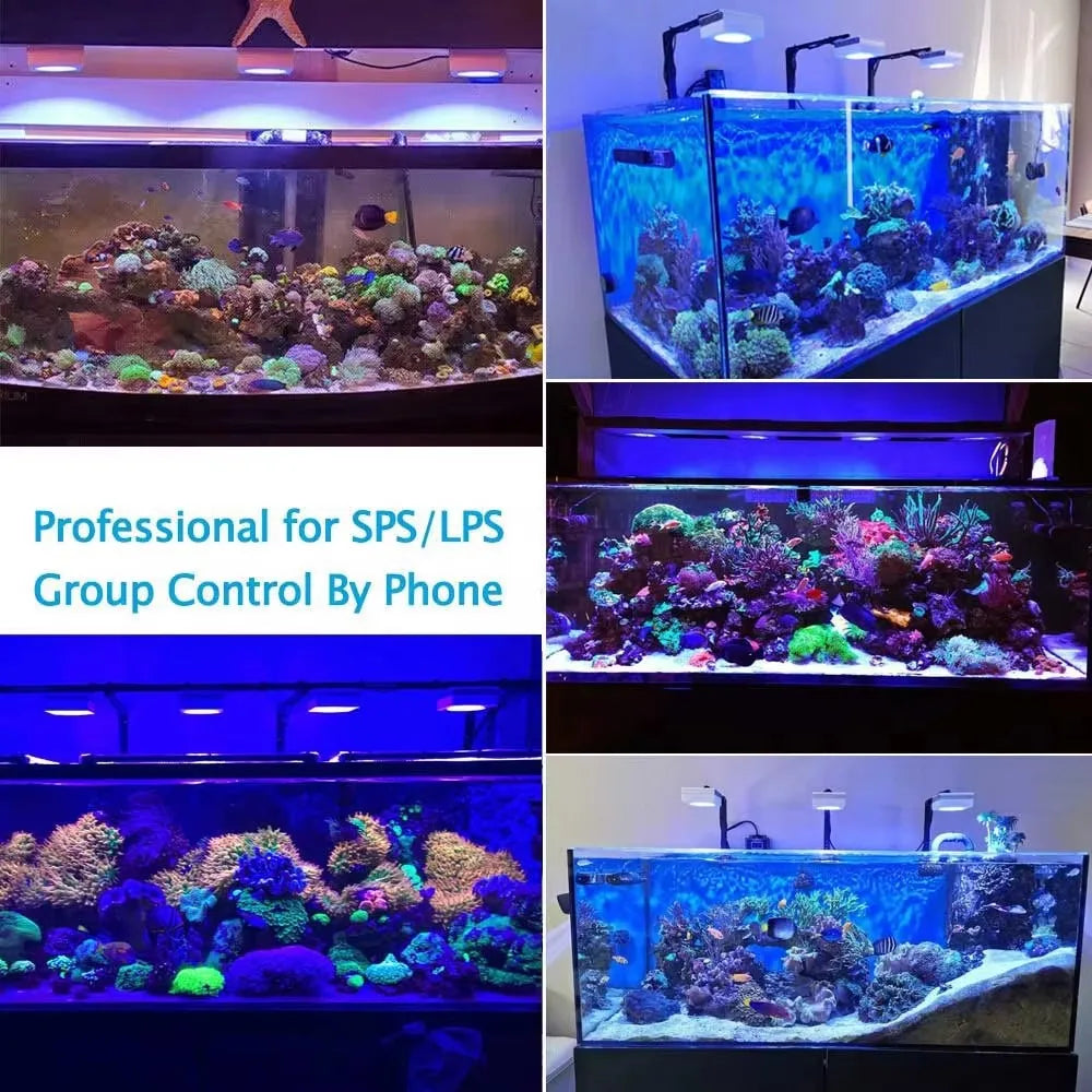 WiFi LED Reef Light for Saltwater Tanks