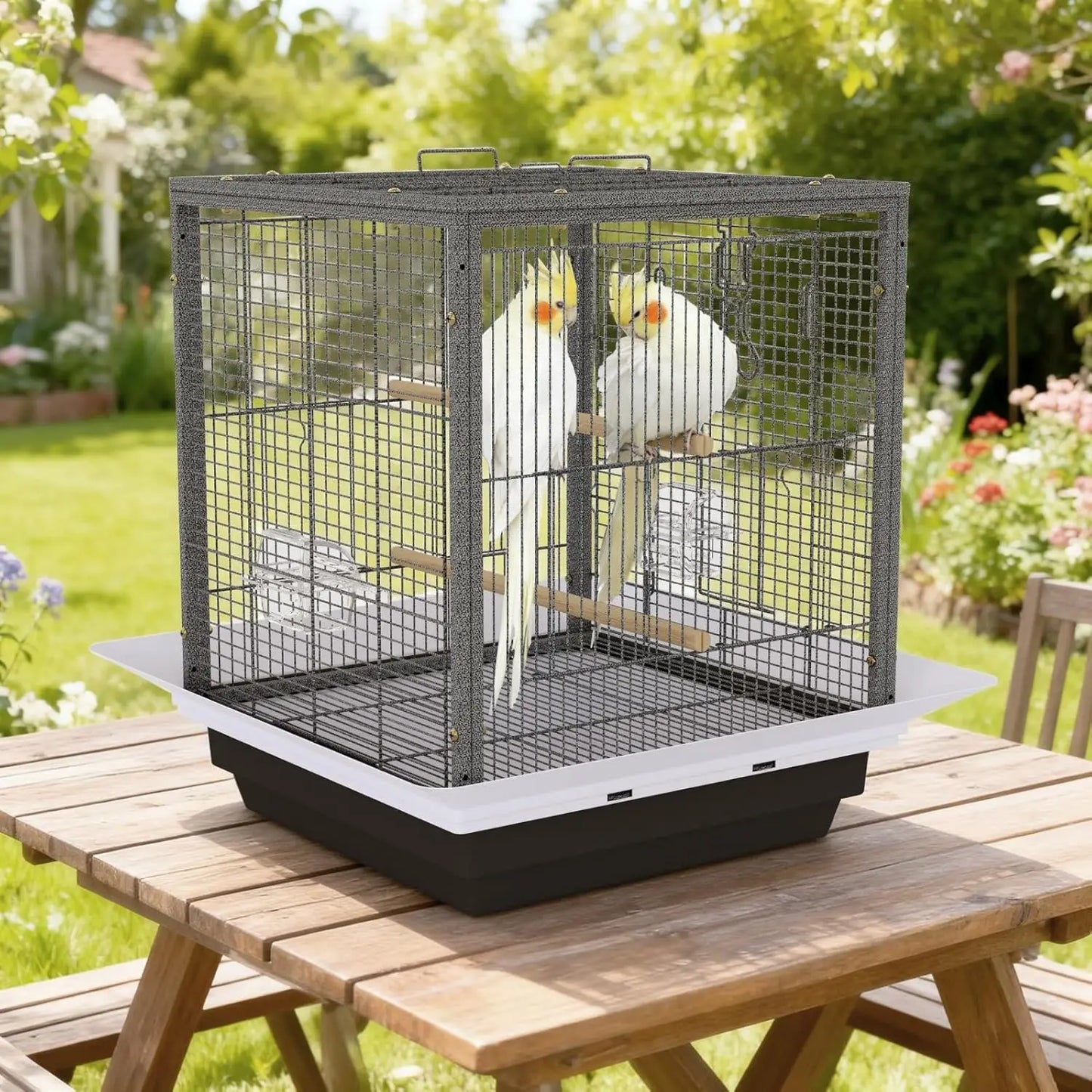Compact Bird Carrier for Small Birds