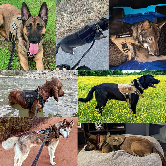 Training Walking Vest Dog Harness