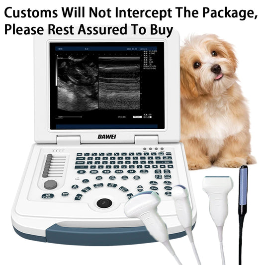Portable Veterinary Pregnancy Ultrasound Laptop Scanner