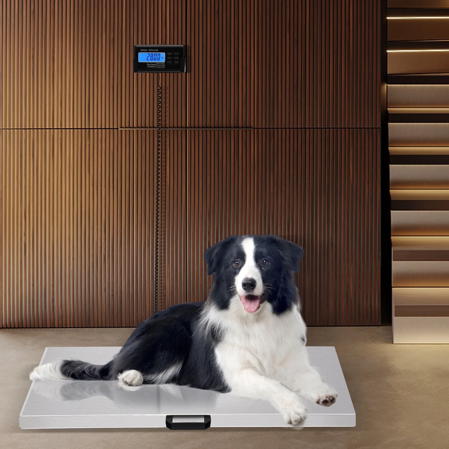 Veterinary & Grooming Digital Pet Scale