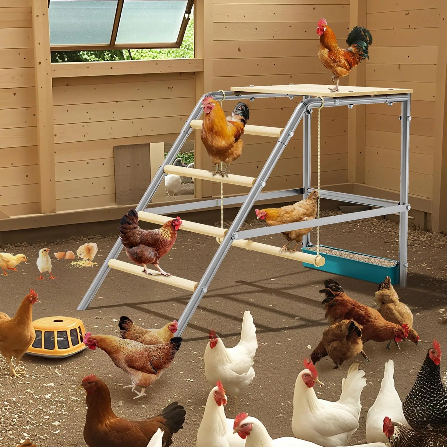 Multi‑Tier Chicken Roost Ladder with Steel Frame & Wooden Perches